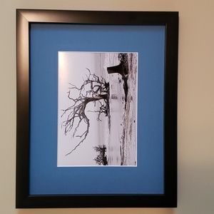 Framed Photo Driftwood Beach